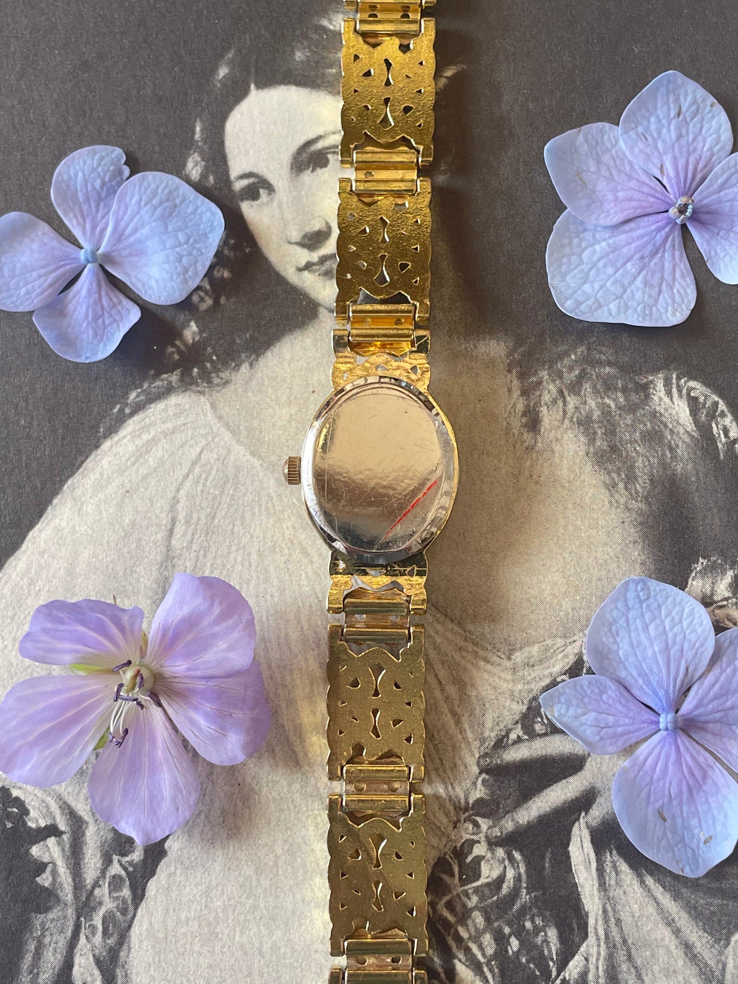 The Alberta Watch