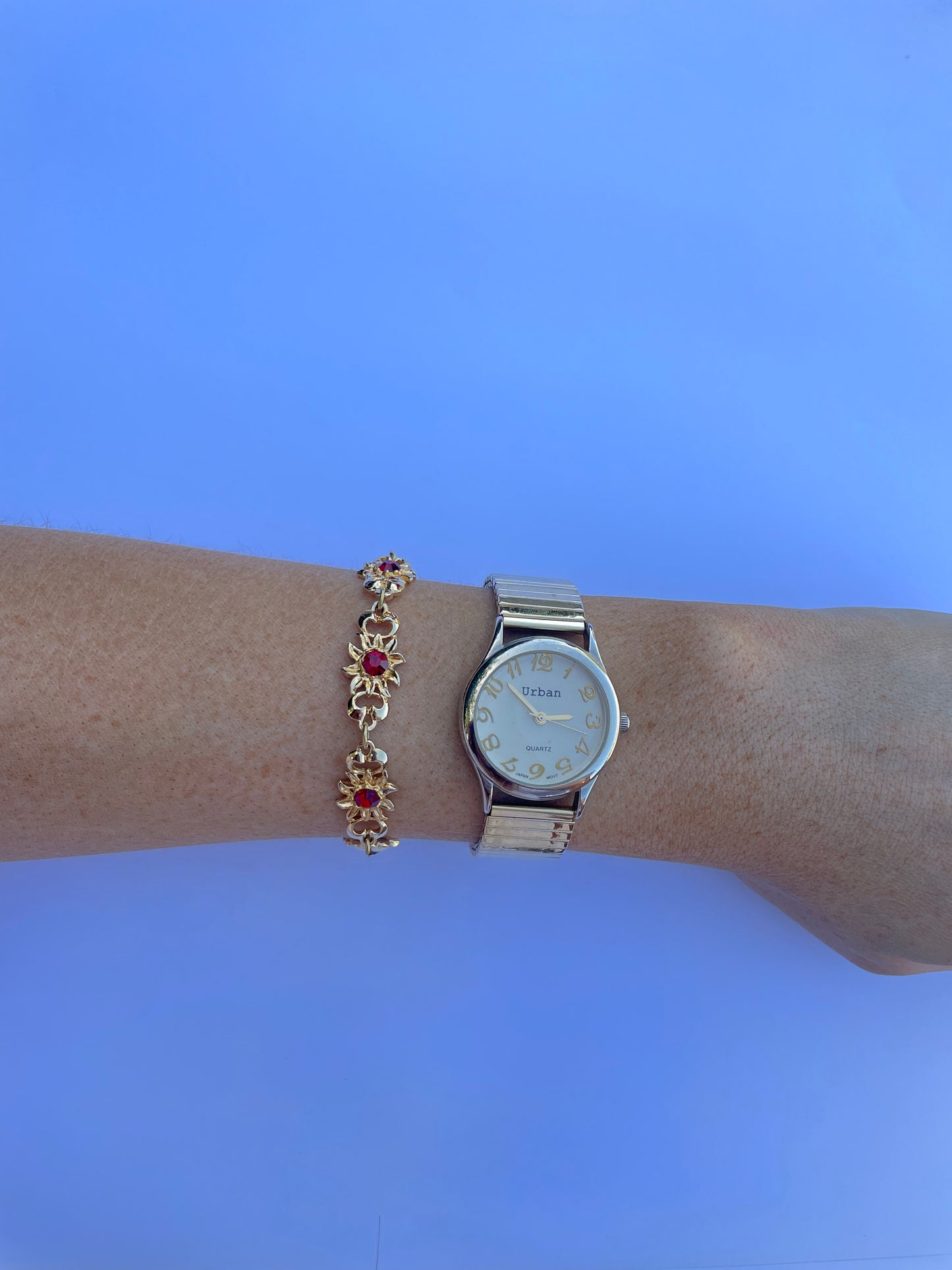 The Urban Watch