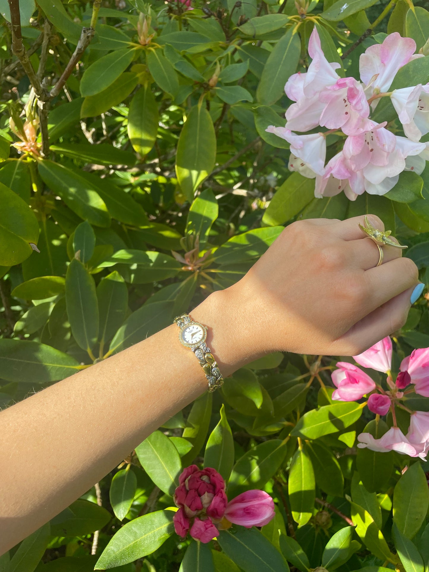 The Serena Watch