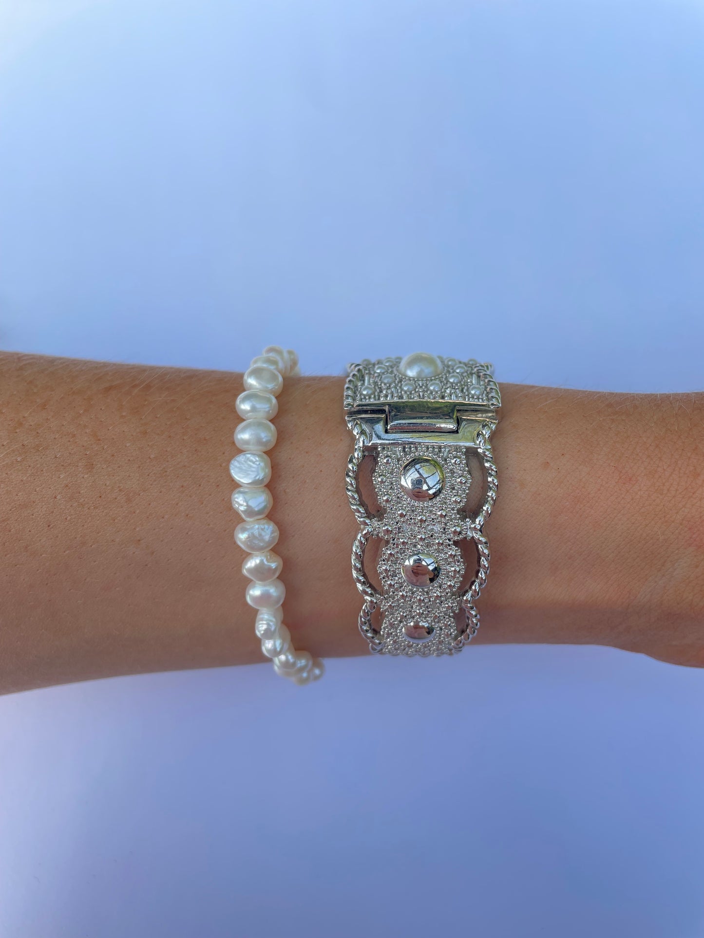 The Moonlight Watch