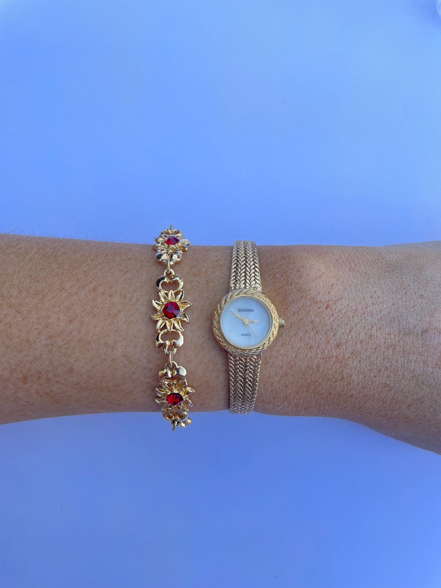 The Alita Watch