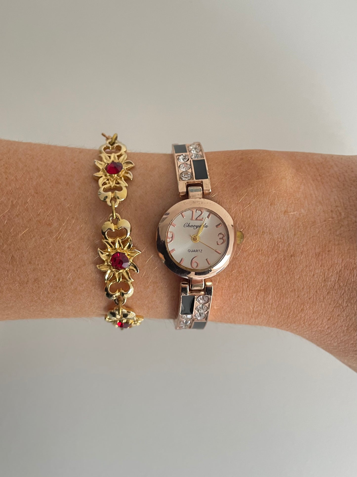 The Severn Watch