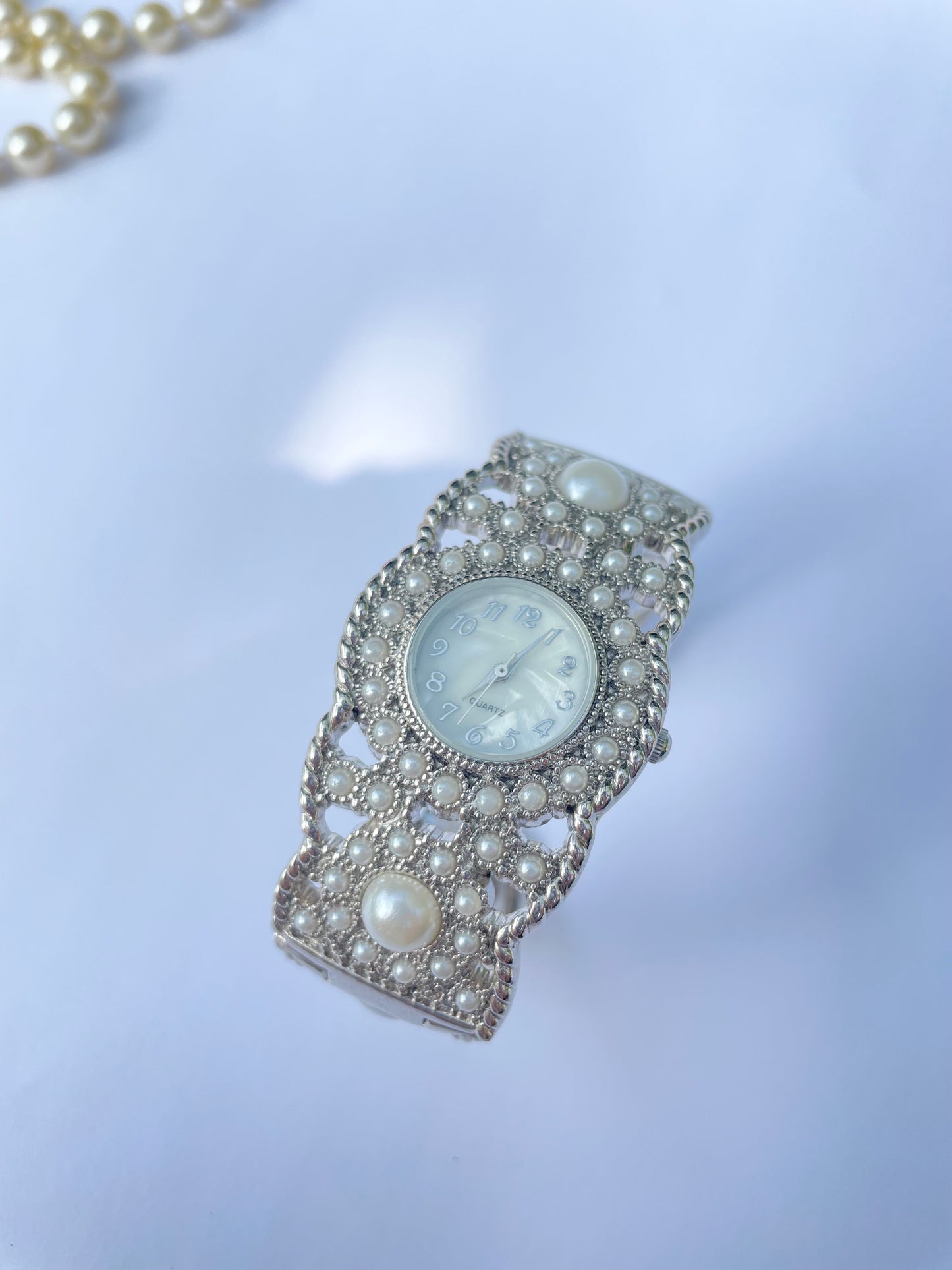 The Moonlight Watch