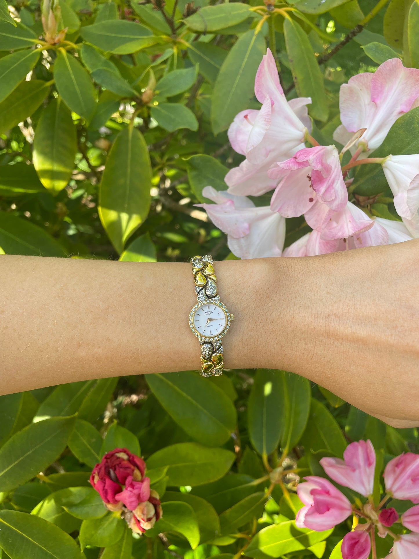 The Serena Watch