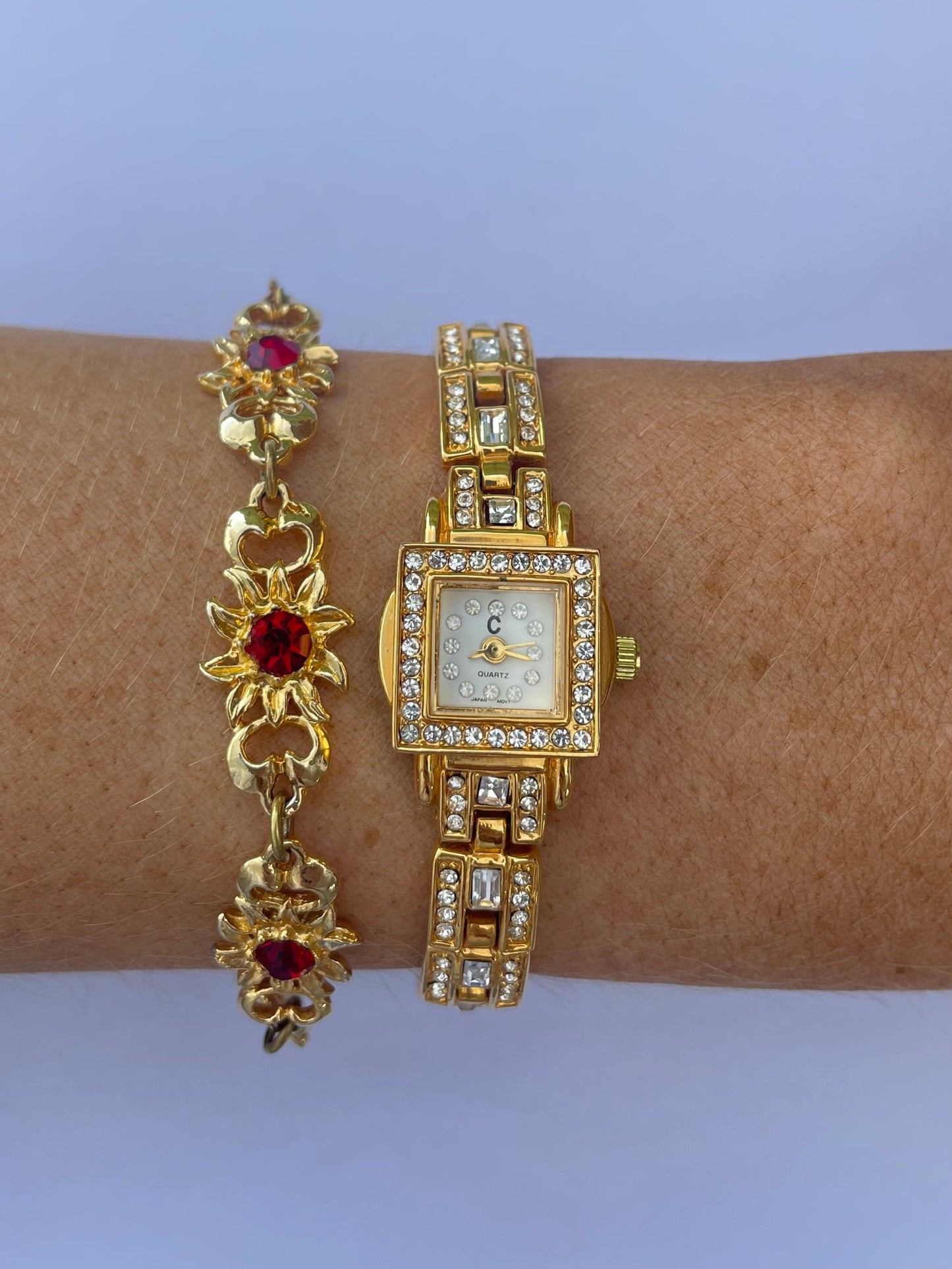 The Sofia Watch