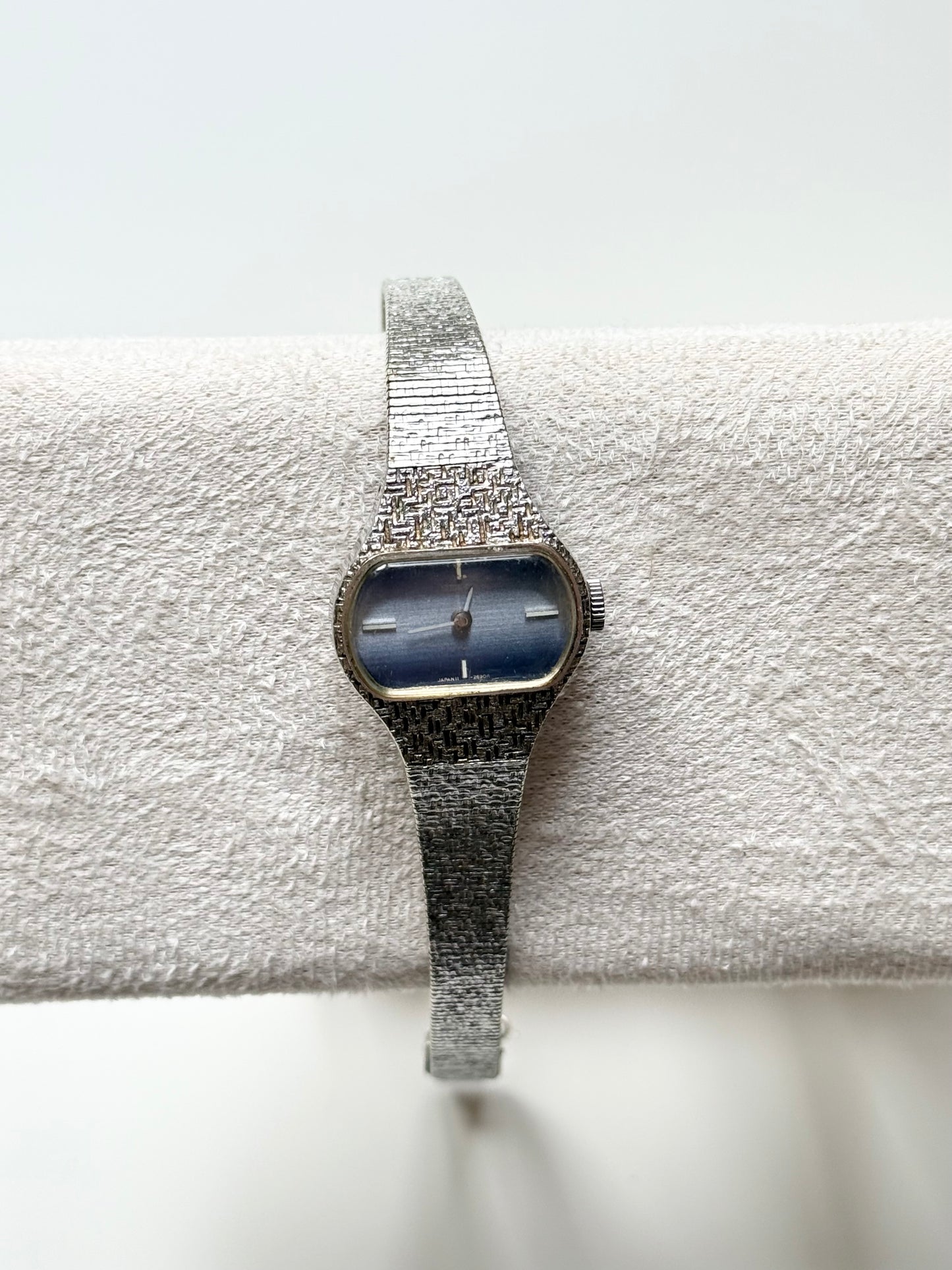 The Blue Watch