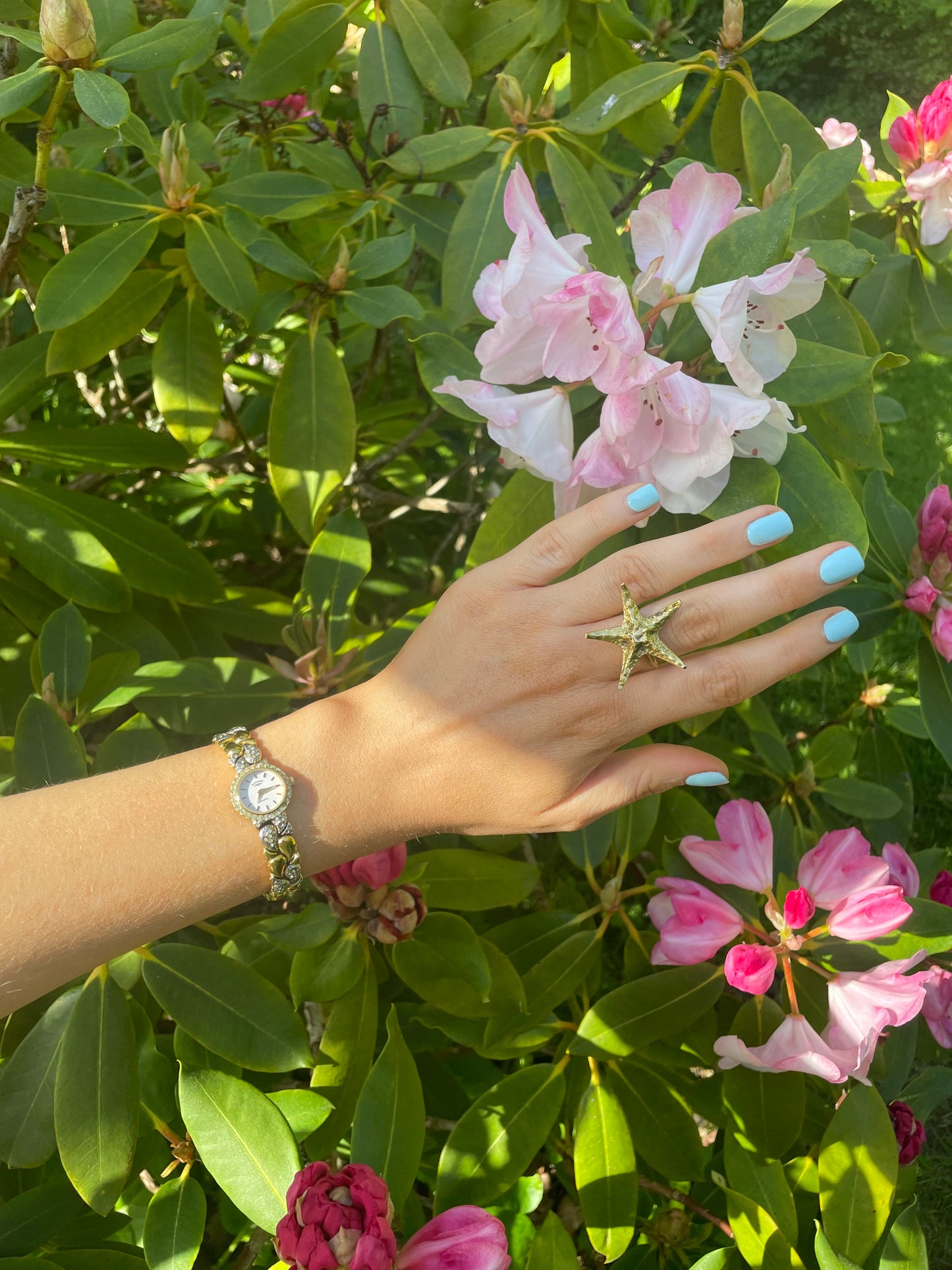 The Serena Watch