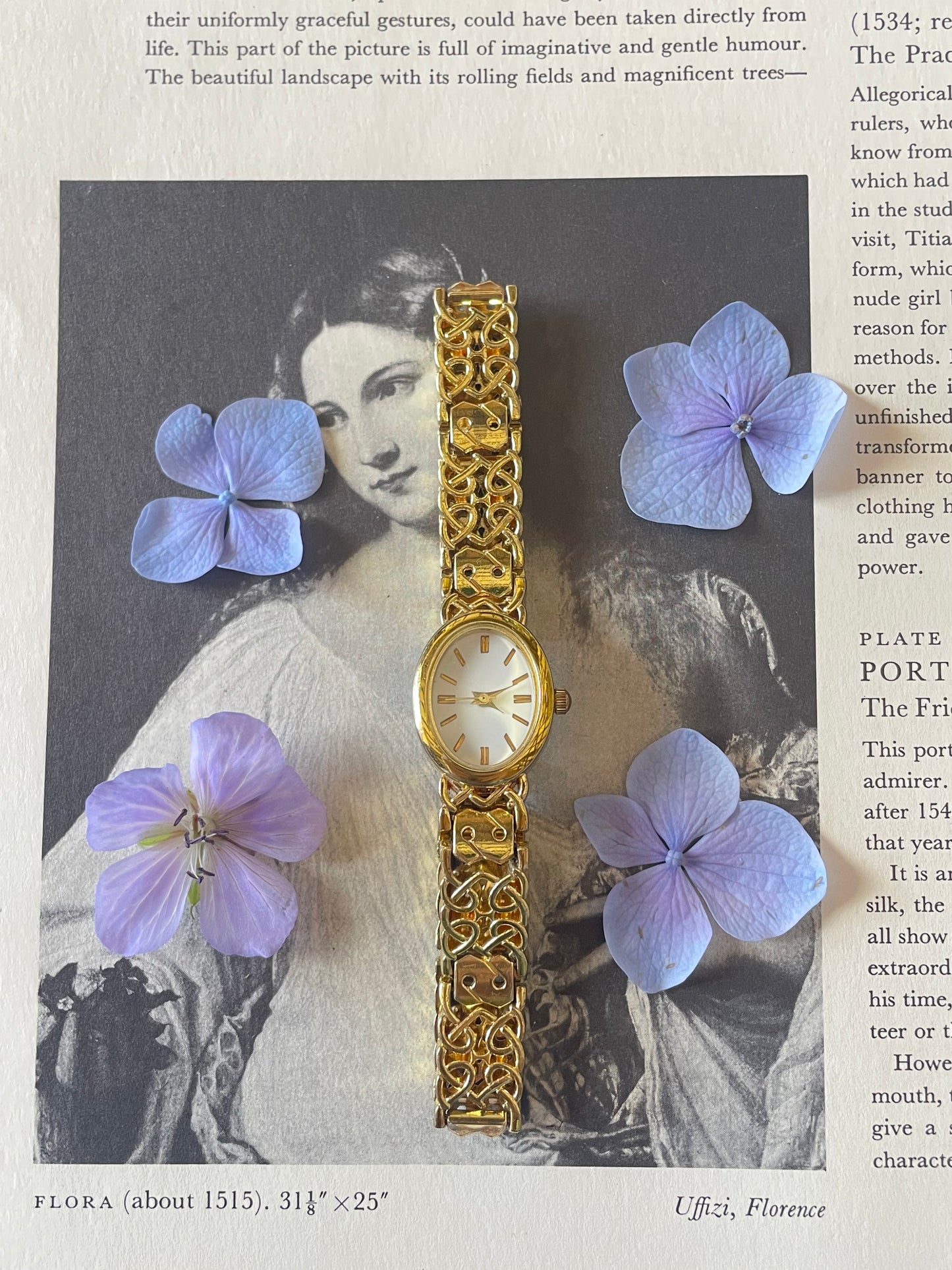 The Alberta Watch