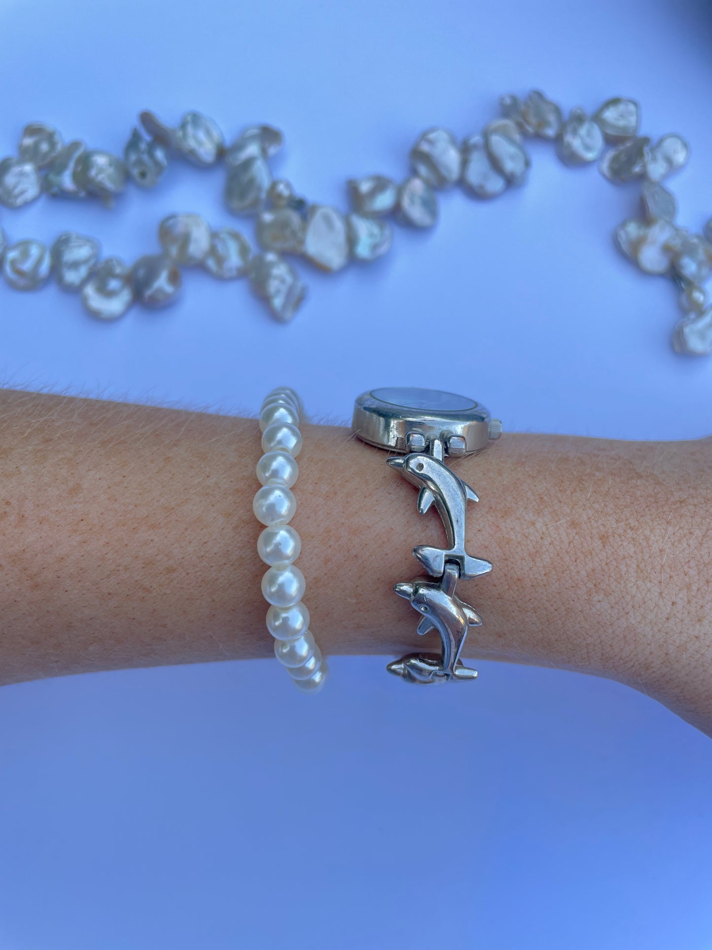 The Dolphin Watch