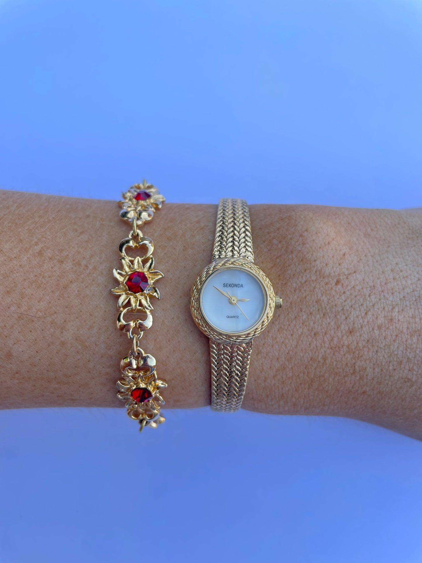 The Alita Watch