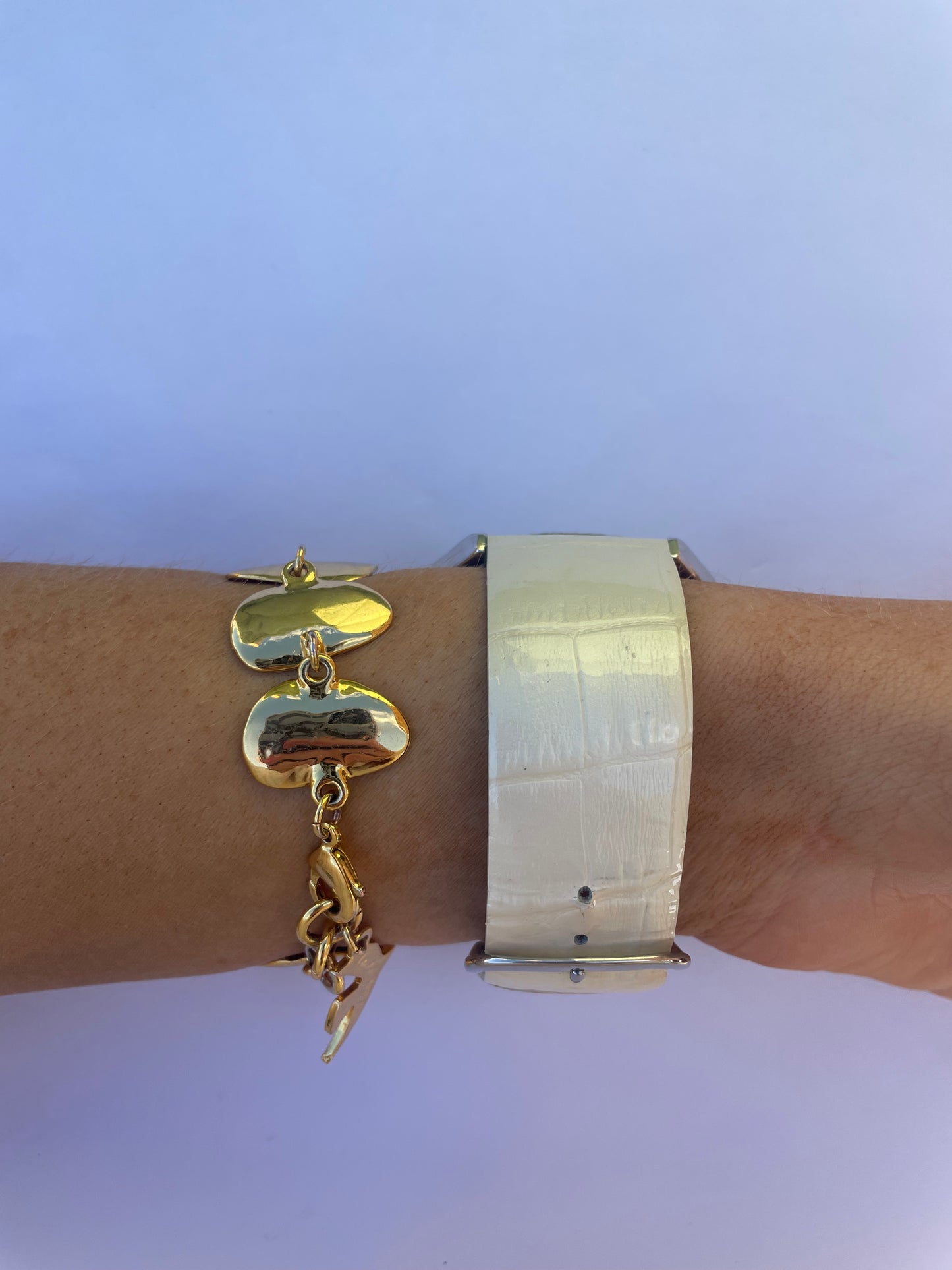 The Tara Watch