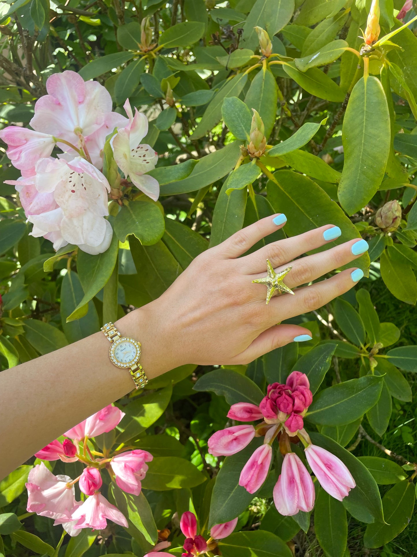 The Twyla Watch