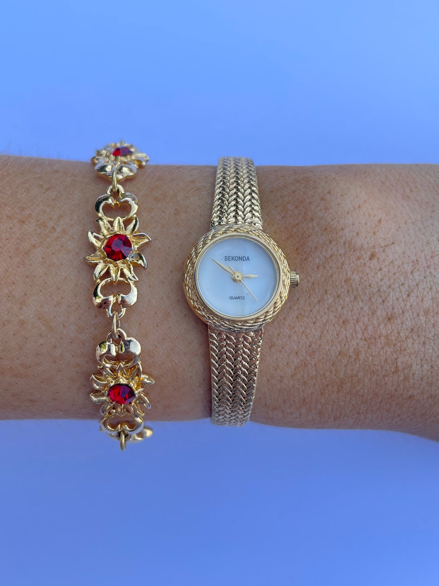 The Alita Watch