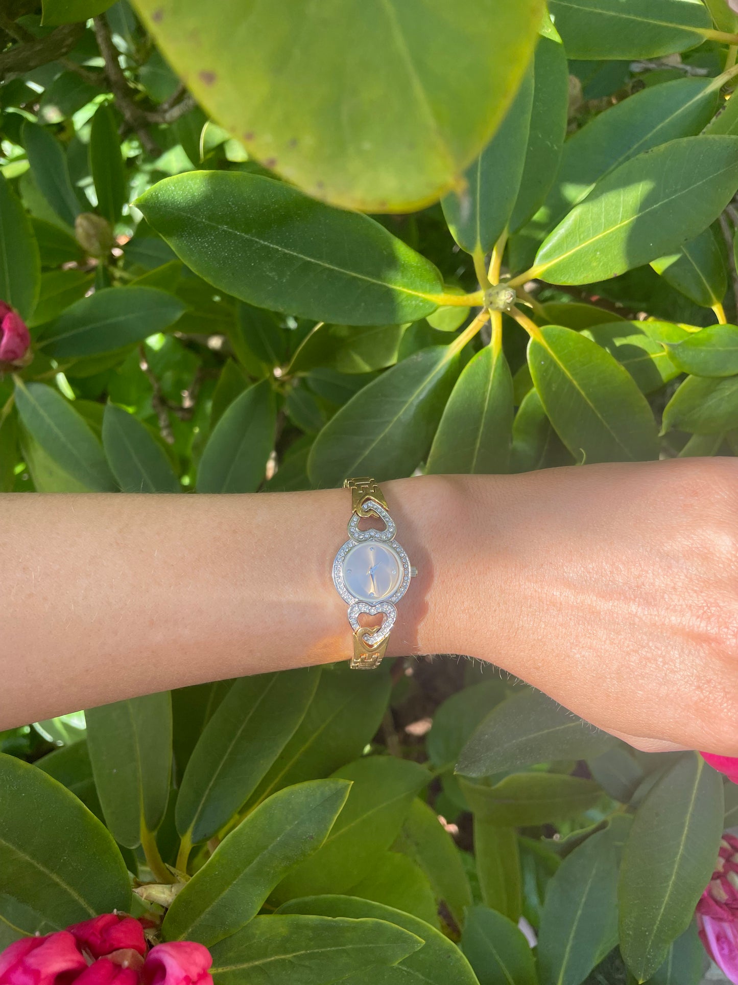 The Isa Heart Watch