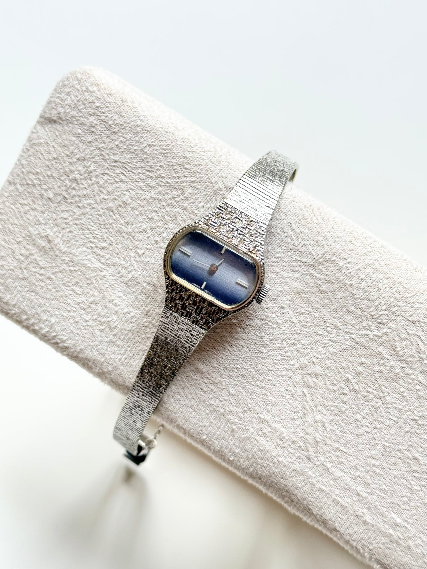 The Blue Watch