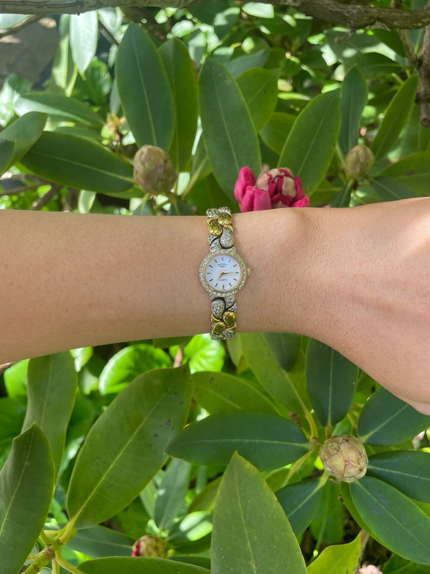 The Serena Watch
