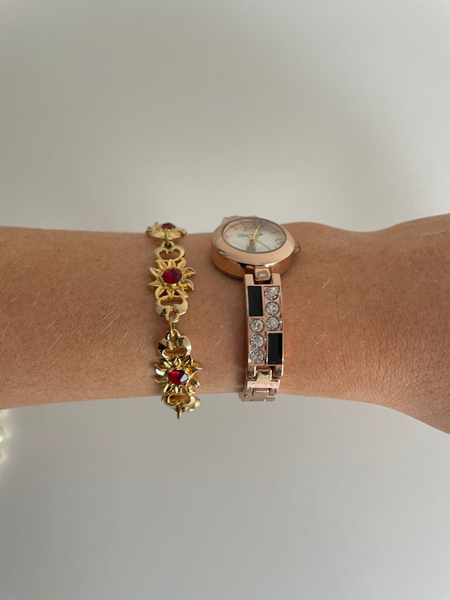 The Severn Watch