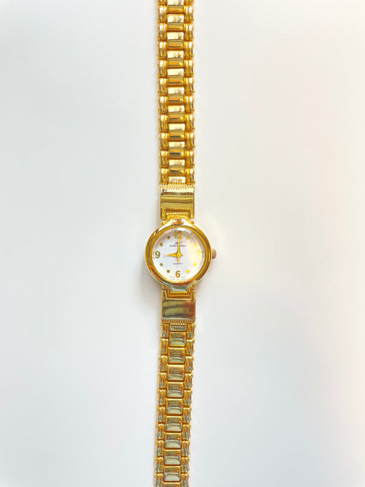 The Halley Watch