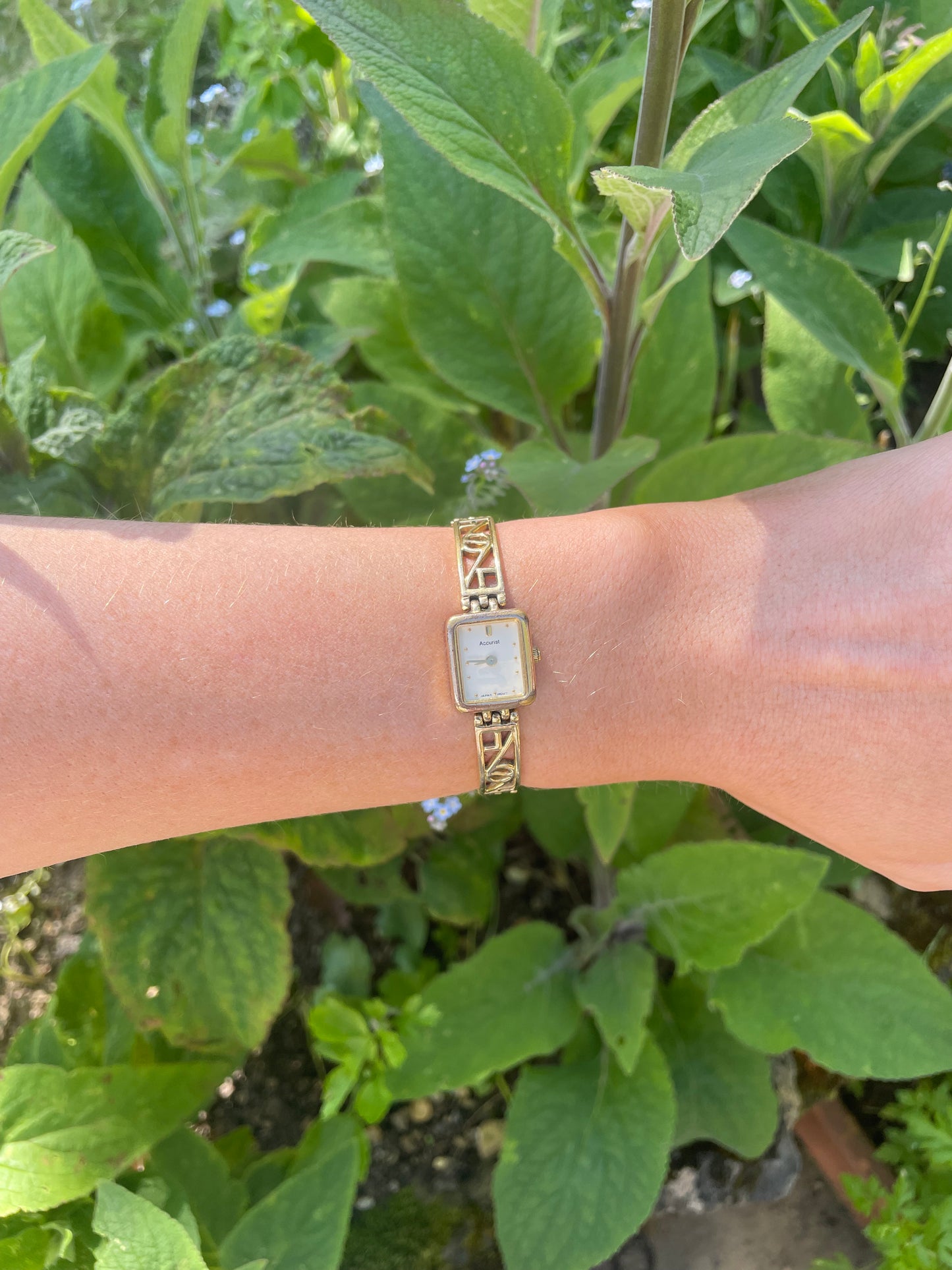 The Petunia Watch
