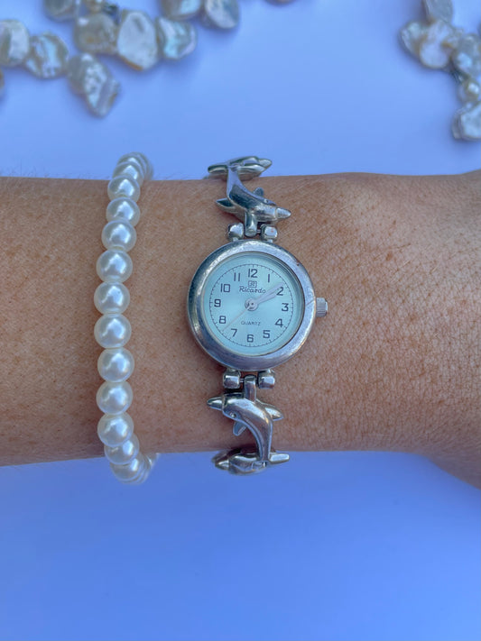 The Dolphin Watch